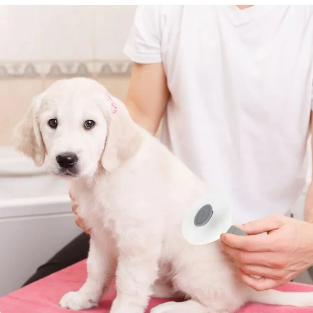 Self Cleaning Slicker Brush